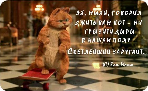 Кот Скрипалей спасен Кот Скрипалей спасен