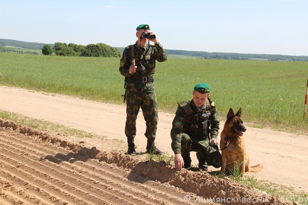 Застава в ружье прикольные картинки