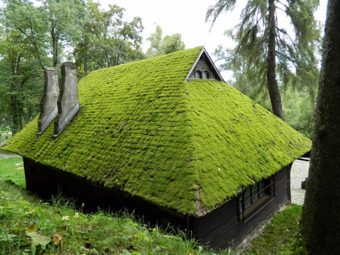 Зачем в скандинавских странах на крышах домов растят траву также, крайне, крыши, крыша, качестве, местах, Европе, тепло, Северной, Особенно, лучше, слишком, использовали, естественной, чтобы, дополнительные, потому, очень, материалов, крыше