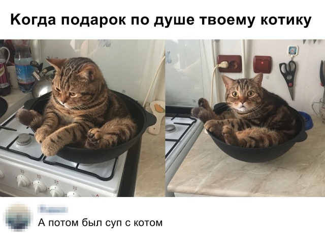 Подборка смешных картинок  смешные картинки