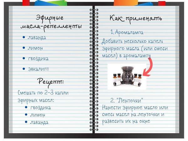 Эфирные масла, которые всегда должны быть под рукой масла, эфирные, масло, эфирных, масел, капель, помогает, использовать, эфирного, Эфирные, эфирное, антисептическим, только, несколько, Эфирное, нужно, снять, гвоздики, расслабиться, шпаргалку