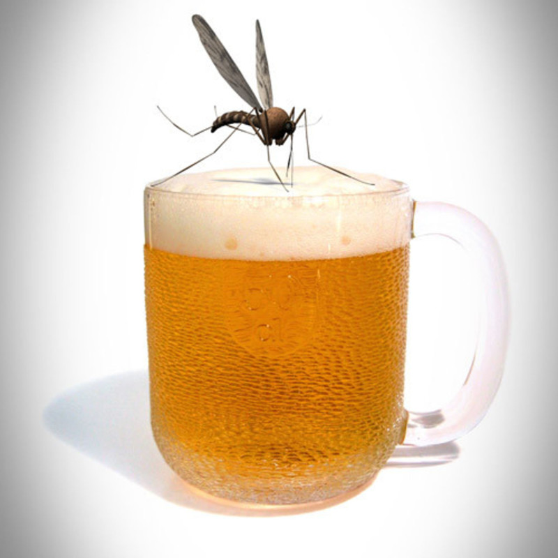Во время одного из исследований ученые обнаружили, что люди, которые пили пиво, нравились комарам больше, чем их трезвые коллеги запахи, интересное, комары, кусают, факты