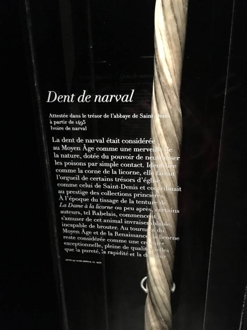 Музей Клюни: гобелены «Дама с единорогом» история