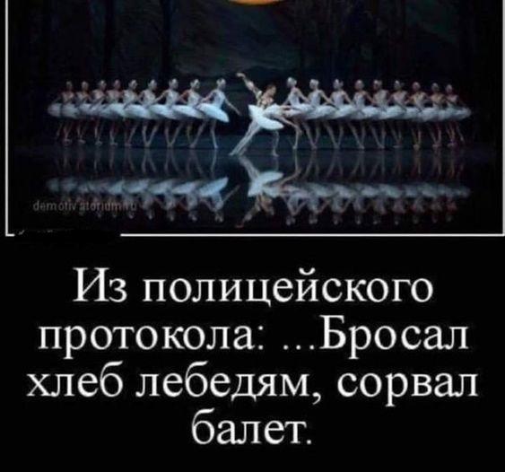 Лучшие улетные картинки Лучшие улетные картинки