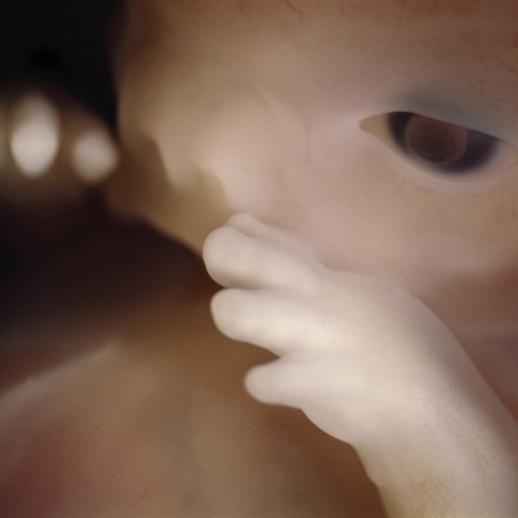 Это удивительно! Фото, которые раскрывают тайну зарождения жизни Это удивительно! Фото, которые раскрывают тайну зарождения жизни