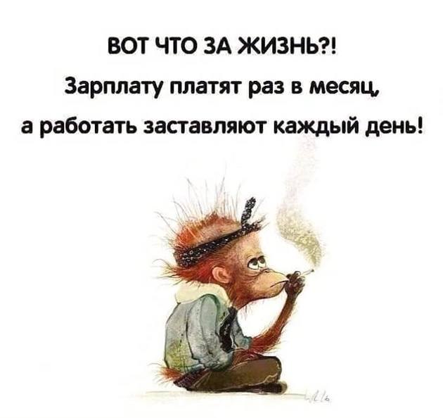 — Знаешь как плов готовить? — Нет. Как? — Баран кидаешь, трава кидаешь… Юмор,картинки приколы,приколы,приколы 2019,приколы про