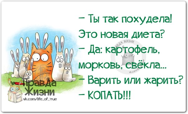 Анимашки день, картинки правды жизни смешные