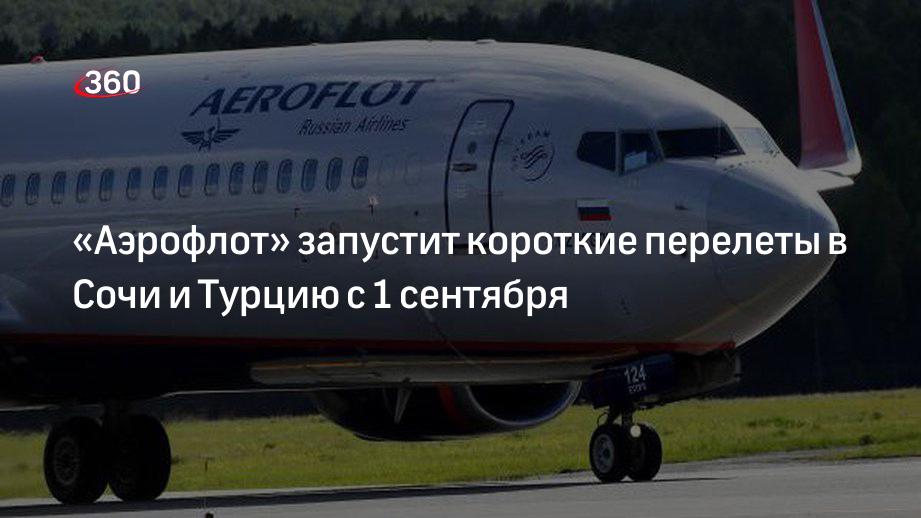 Авиакомпания за границей. Стюардессы аэрофлота. Аэрофлот летает в турцию. А320 аэрофлот шереметьево. Рождественский рейс.