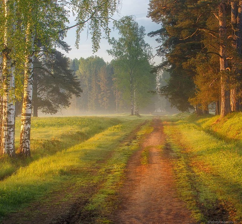 Родные просторы: несколько характерных русских пейзажей красота, поле, природа, родина, россия, русский дух, эстетика