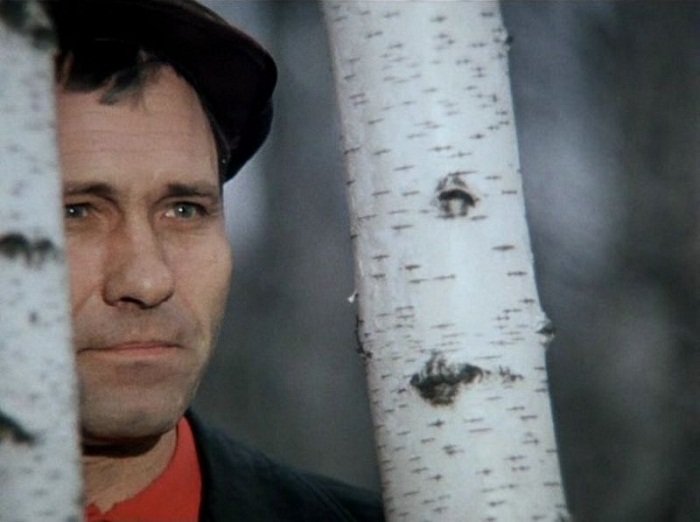 «Калина красная» (режиссер Василий Шукшин, 1974 год) брежнев, кино, ностальгия, память