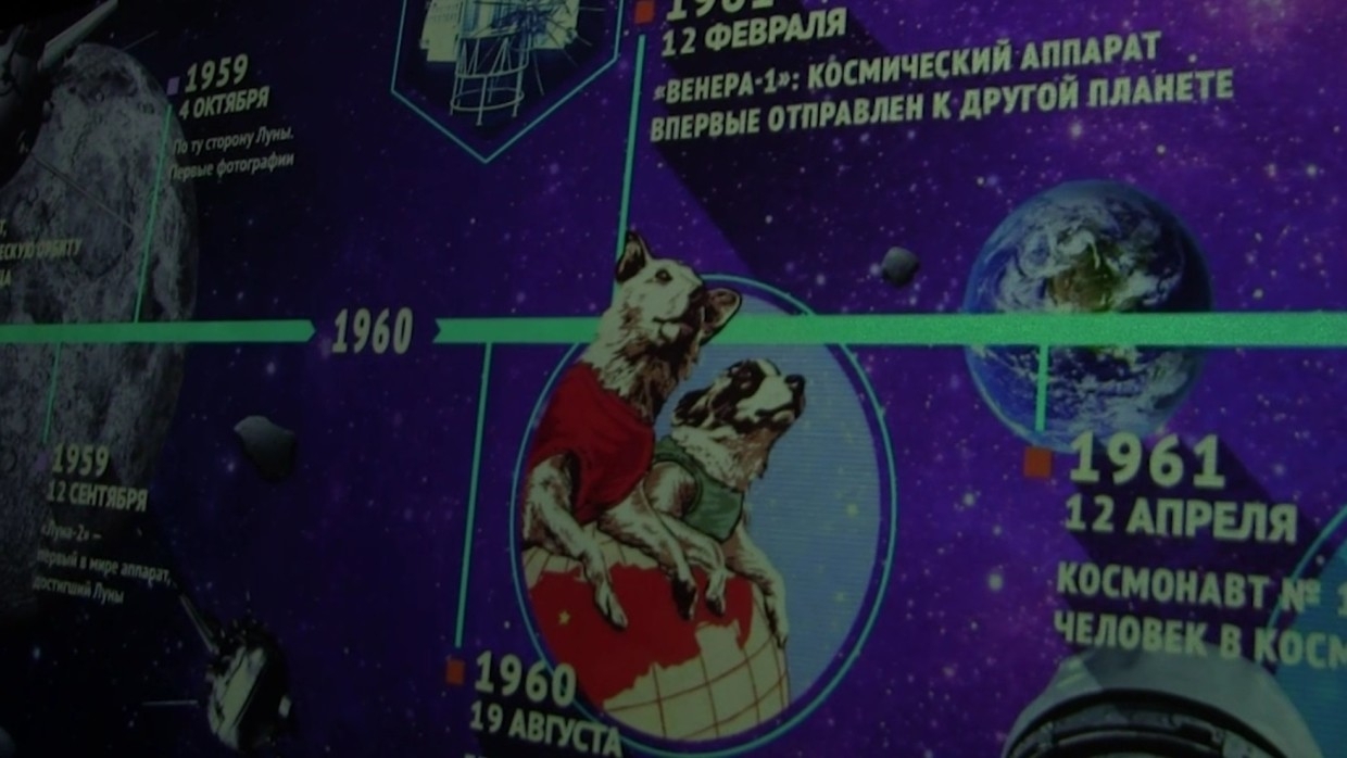 Собаки-космонавты Белка и Стрелка вернулись на Землю 61 год назад 