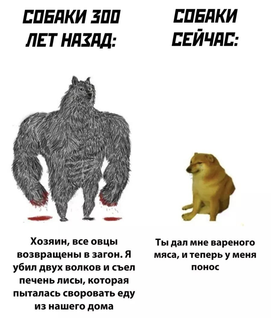 - Тут болит? - Да. - А тут?... мужик, хватит, старый, спиной, движение, чтобы, болит, почему, жизнь, стояла, абсолютная, полная, автобусе, тишина, входили, удивительном, оглядывались, Девочки, молча, выходили