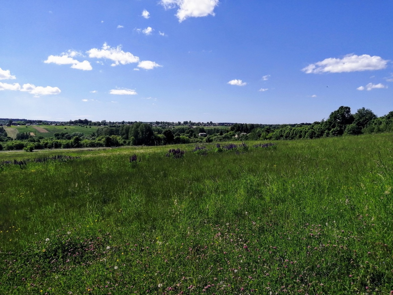 Природа России 36