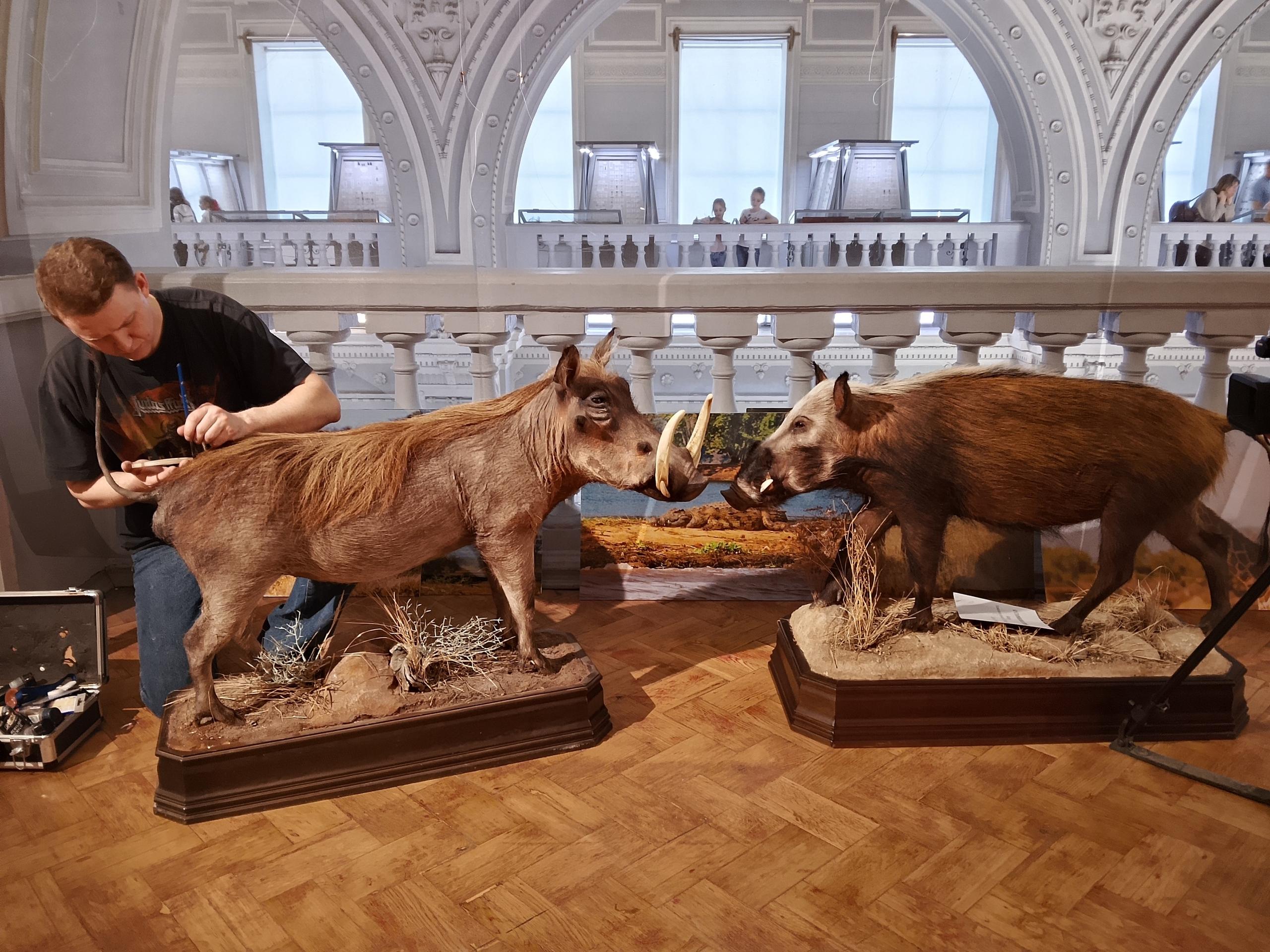 Куда сходить с ребенком в Санкт-Петербурге: 10 нескучных маршрутов стоит, поесть, можно, билет, билет —, Взрослый, экскурсии, очень, детей, ресторан, рубМаршрут, посетить, дворец, ресторане, только, находится, Здесь, много, Музей, территории