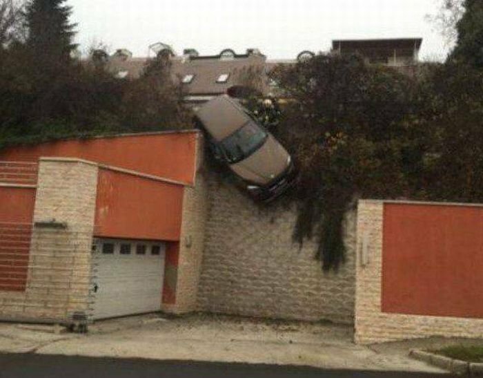 Вы думаете только у вас был плохой день? Вы думаете только у вас был плохой день? Отдых