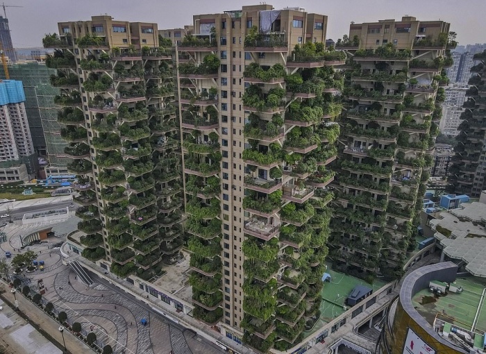 Почему первый вертикальный лес китайского города вместо рая превратился в элитную «заброшку» архитектура,вертикальный сады,провалившийся эксперимент,строительство