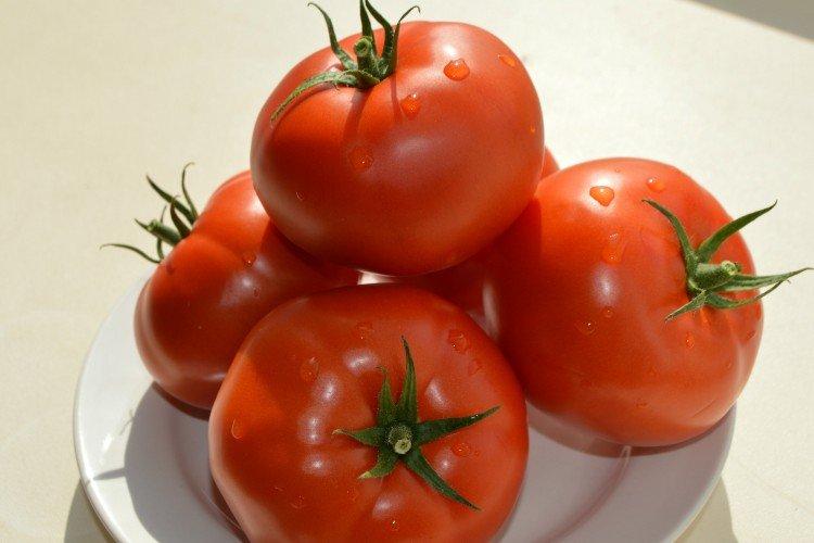 Самые высокоурожайные сорта томатов: фото, названия и описания дача,сад и огород,советы огородникам
