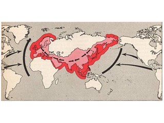 «Когда одновременно несколько точек взорвутся, России будет очень тяжело» геополитика