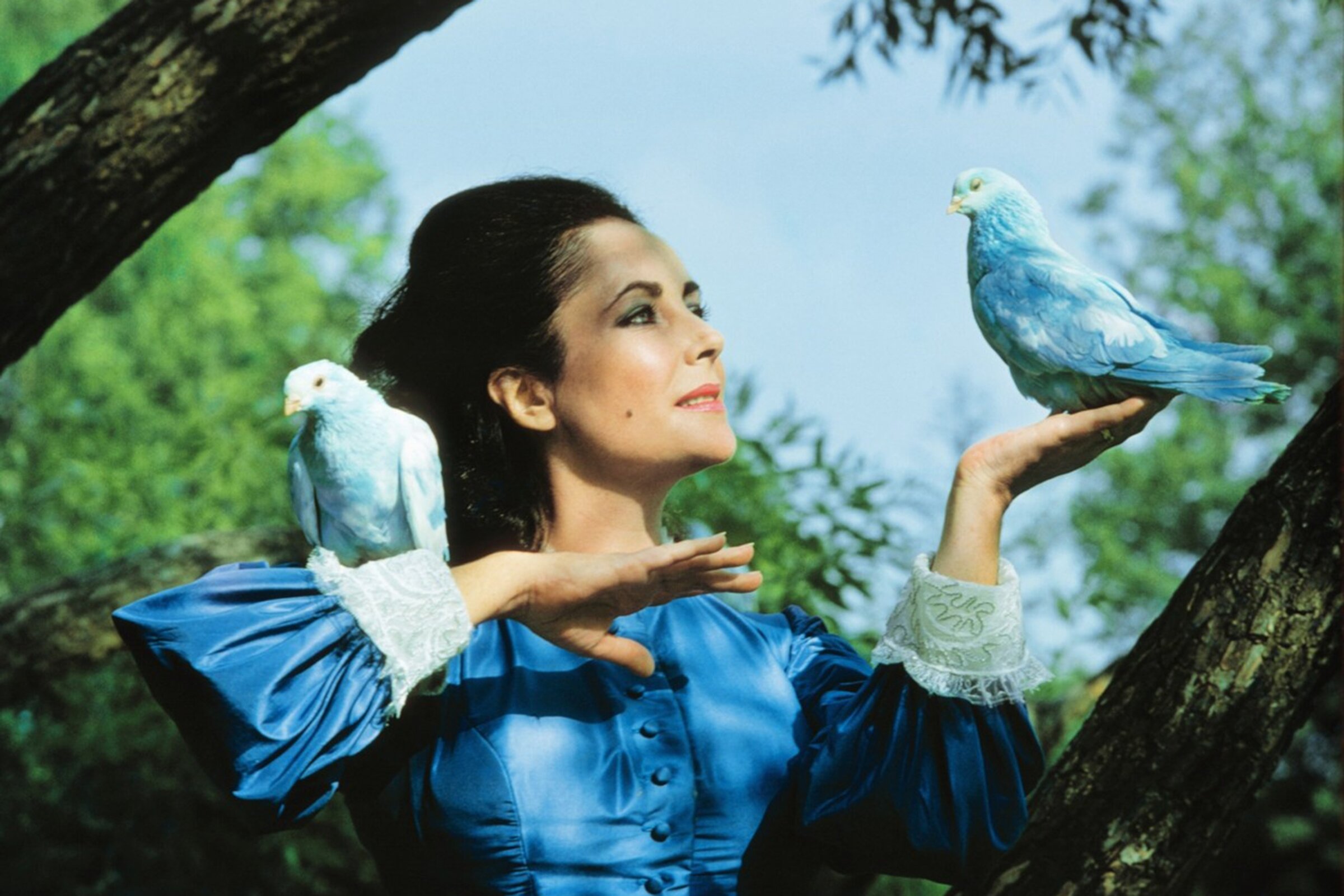 Синяя птица фильм 1976