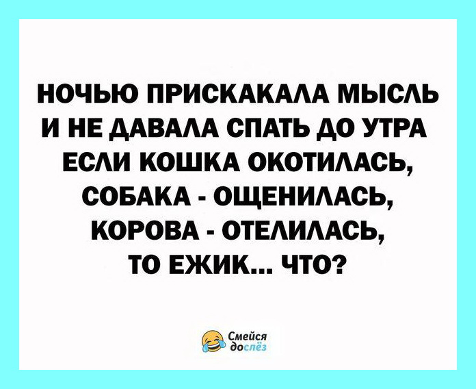 Подборка  анекдотов и юмора в картинках 