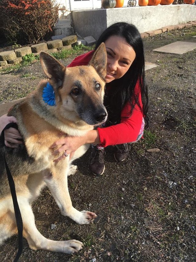 k9