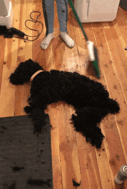 Анимированные приколюхи. Веселье на целый день! смешные картинки