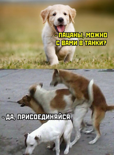 Зверский юмор Зверский юмор