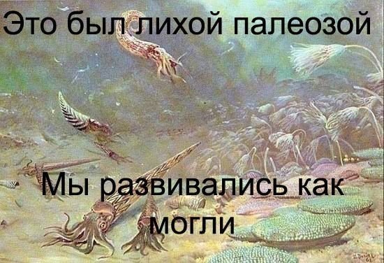 Зверский юмор Зверский юмор