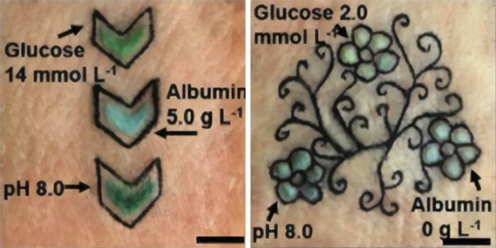 Немецкие учение разработали татуировки, которые сообщают о здоровье