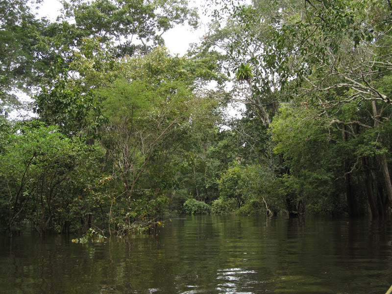 Секреты путешествия по Амазонке
