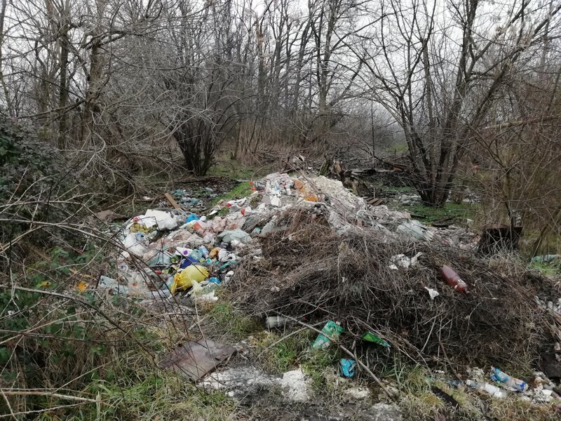 Про мусорный коллапс в Краснодаре Про мусорный коллапс в Краснодаре