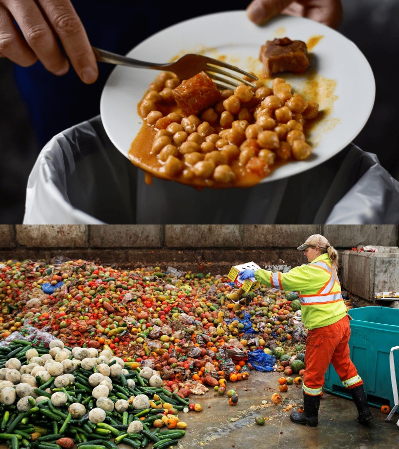 Утилизация пищевых отходов Утилизация пищевых отходов ЖКХ,утилизация отходов