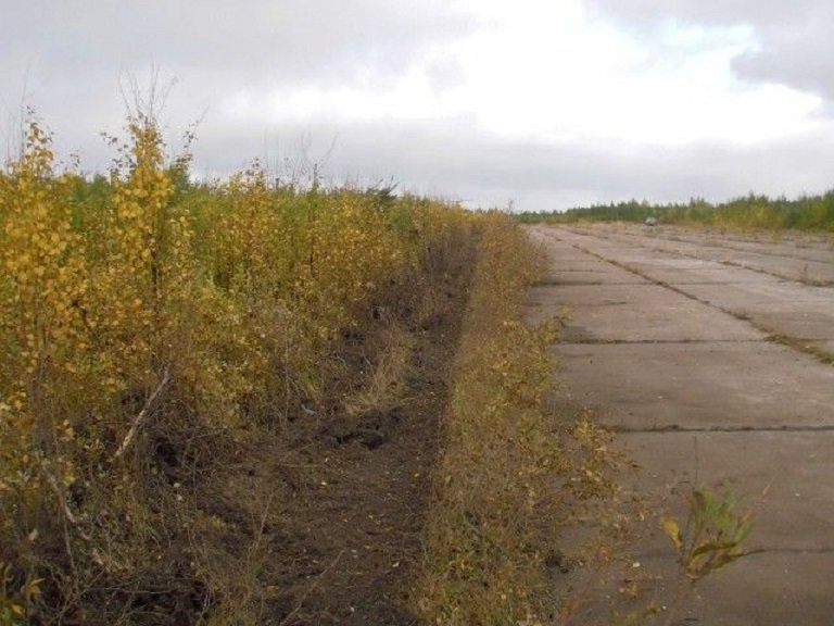 Чудо на Ижме Ижма, Сергей Сотников, авиакастрофа, интересное