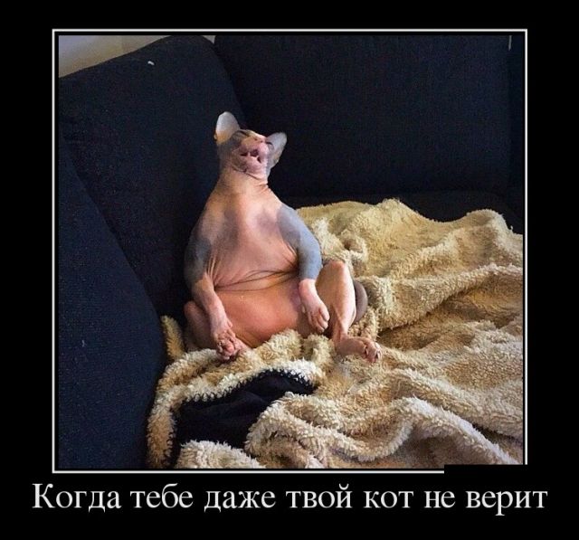Утренние демотиваторы для веселья и позитива (11 фото)