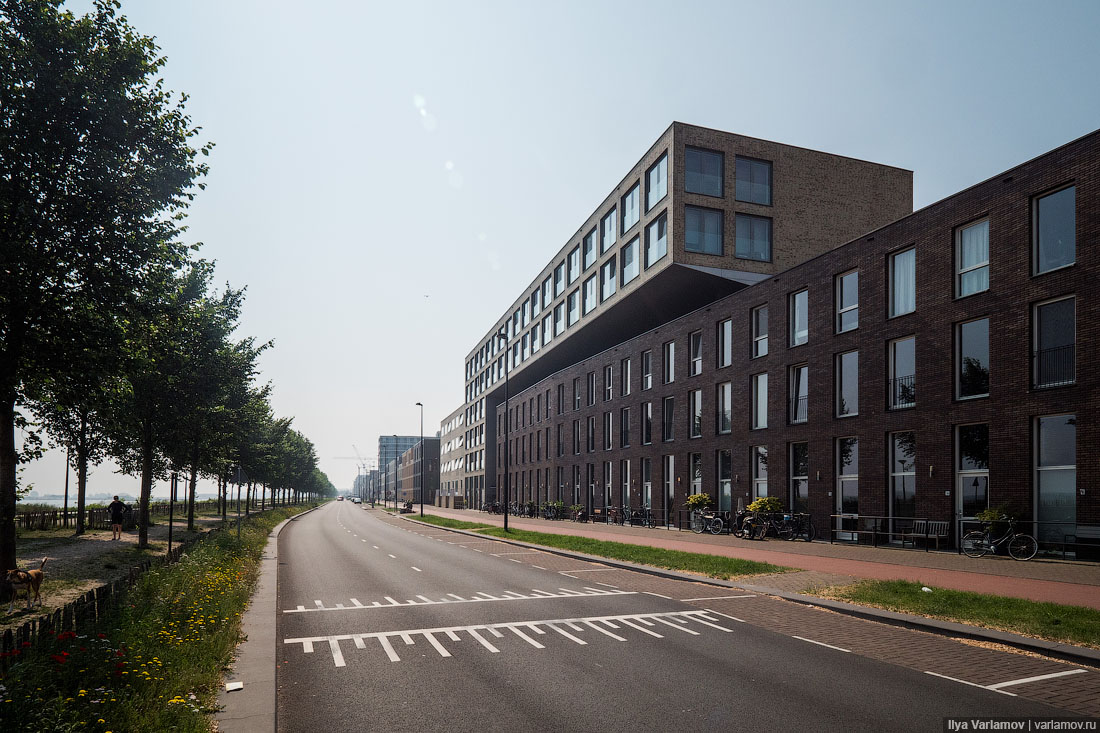 Этот пост доведёт гаишника до слёз авто и мото,автоновости,гибдд