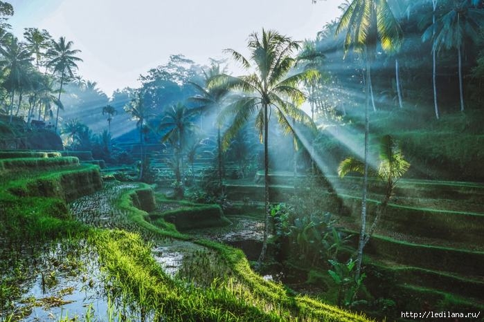 Тайны Бали: 8 причин ехать на остров именно в сезон дождей