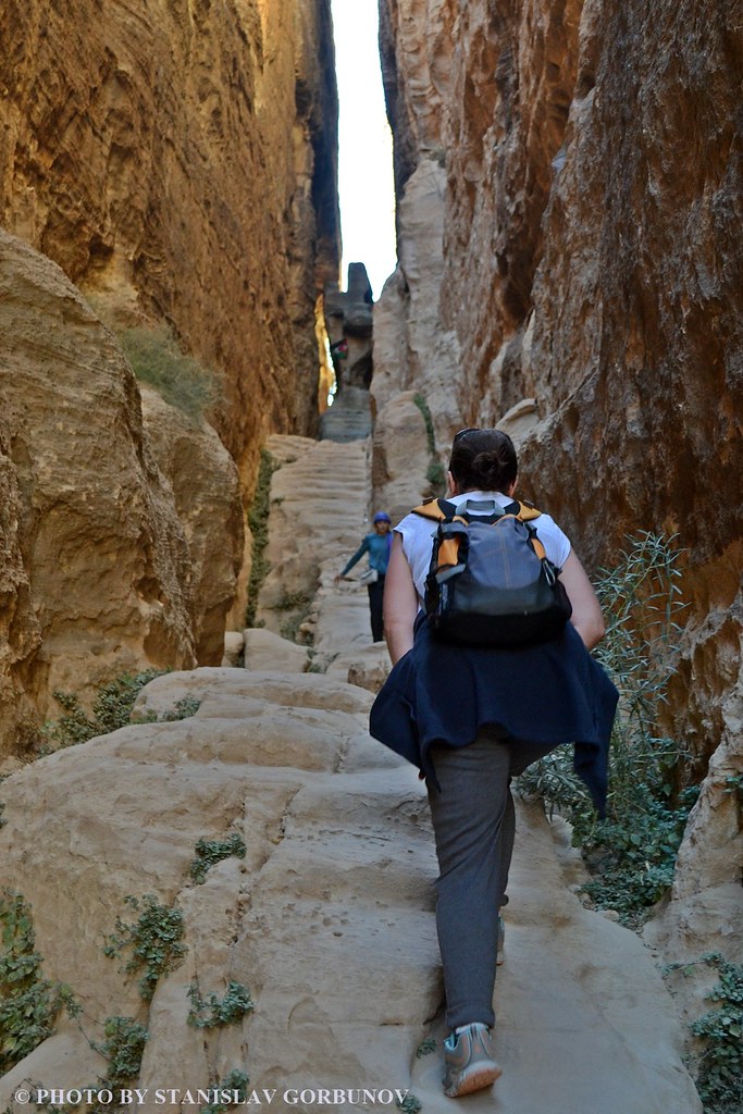 Опасная прогулка бедуинскими тропами. Иордания,история,мир,отдых,тур,турист
