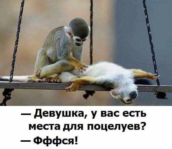 Девушка, у вас есть места для поцелуев?