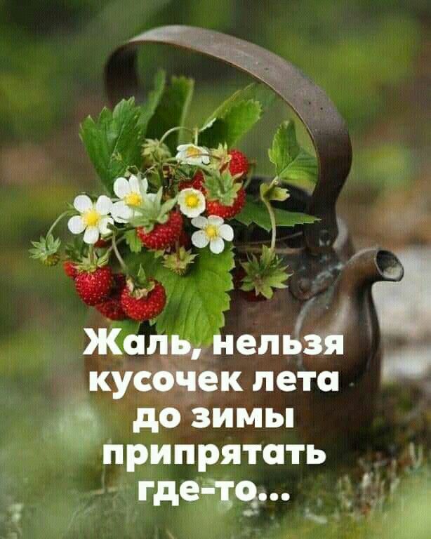 Яркие шутки и анекдоты для теплого настроения 