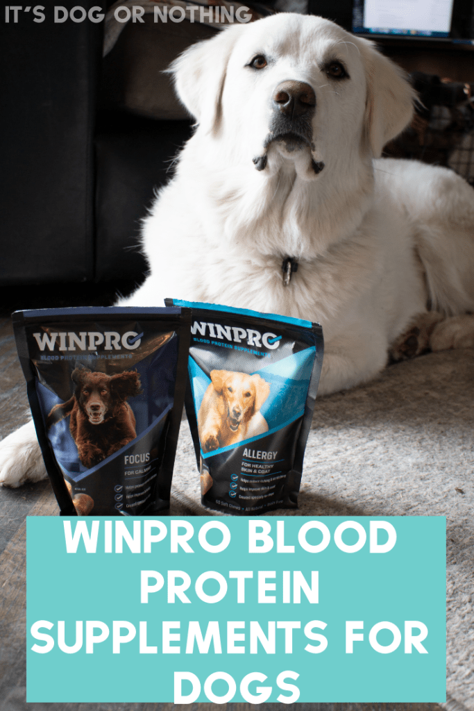 WINPRO Blood Protein Supplements are nature's best weapon against inflammation. They can help with immunity, focus, mobility, training, and allergies. We tested Focus for Mauja's anxiety and Allergy for Kiska's skin issues.