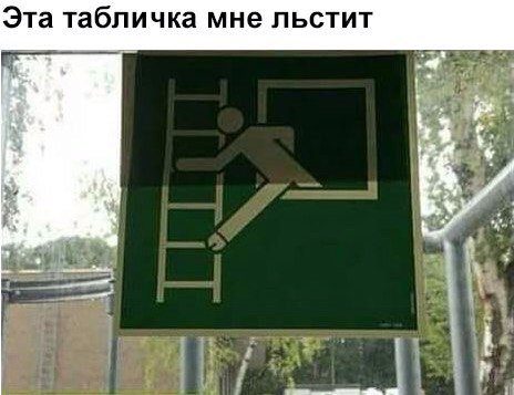 Лучшие фотомемы