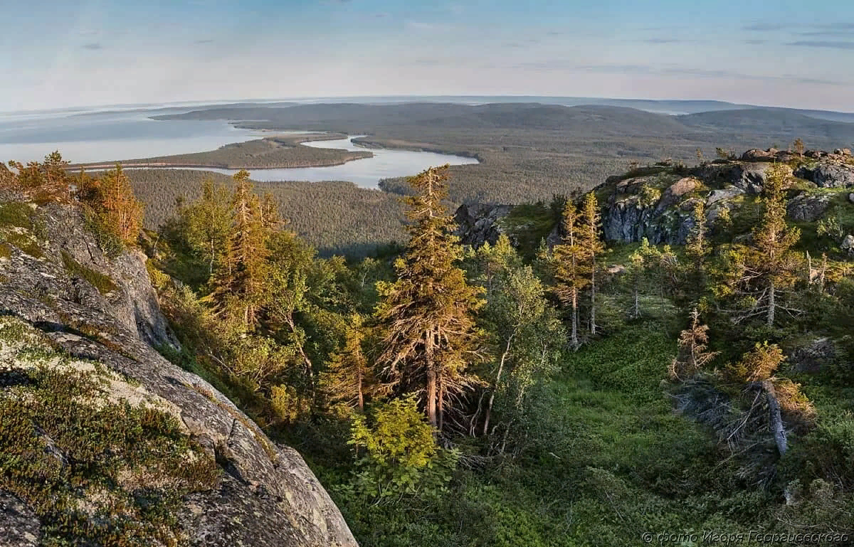 Особые природные объекты. Нац парки, заказники, резерваты. Заказник Тохтай. Заповедник национальный парк России. Заповедники, заказники и национальные парки РФ..