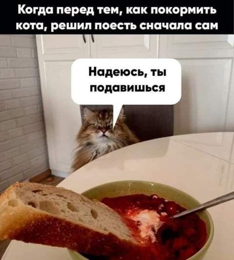 Самые лучшие забавные картинки Самые лучшие забавные картинки