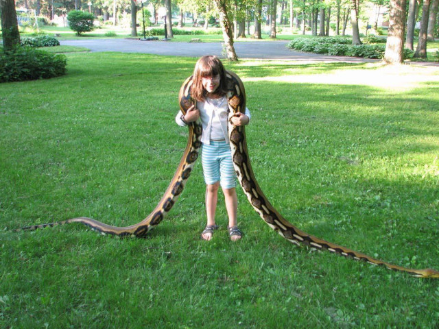 Прикольные картинки для настроения: «Бьюти-советы для мужиков…» 