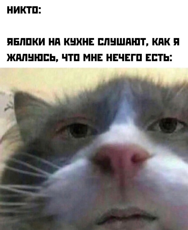 Подборка прикольных картинок. Вечерний выпуск  приколы,смешные картинки,юмор