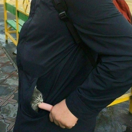 Прошу направить меня на курсы повышения зарплаты! Прошу направить меня на курсы повышения зарплаты! анекдоты