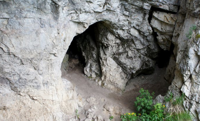 В ДНК человека нашли «ген-призрак». Он принадлежит виду людей, неизвестному современной науке