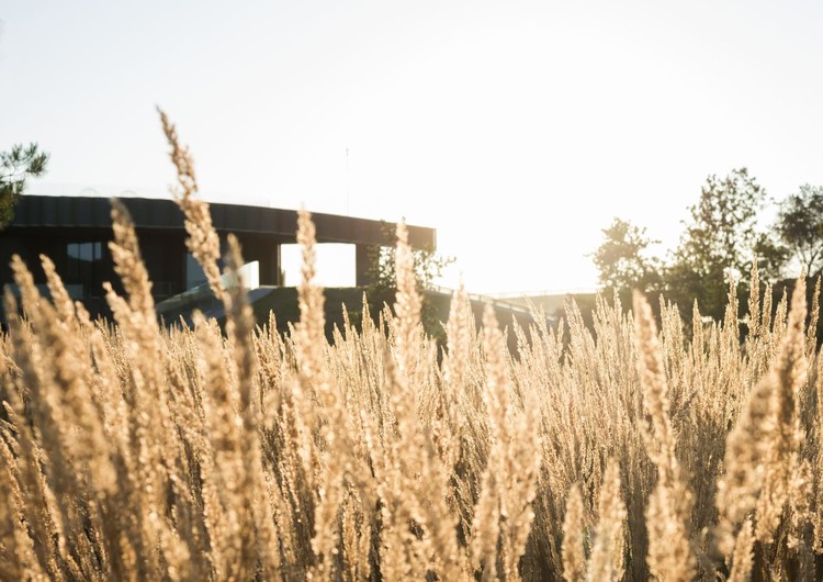 Необычная архитектура дома в сельской местности на берегу Москвы-реки Необычная архитектура дома в сельской местности на берегу Москвы-реки архитектура,Путешествия,фото