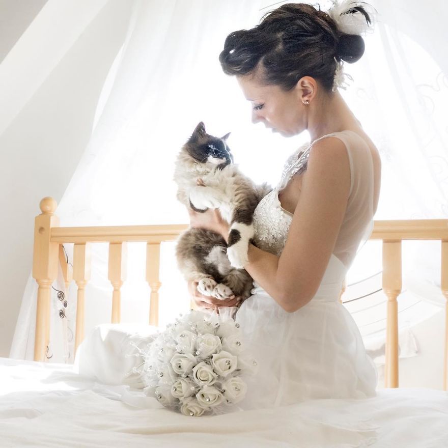 I Do Post-Marriage Private Shooting With Cats