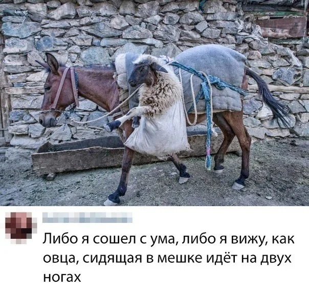 Шутки должны быть неожиданными. Как веер у бомжа 